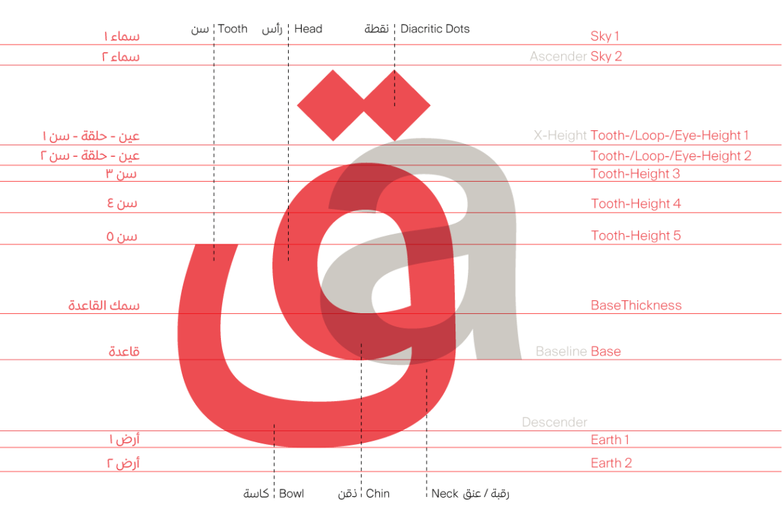 Arabic-type-anatomy-2