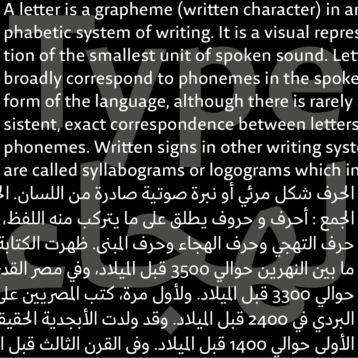 29LT-Zarid-Sans-Image-14