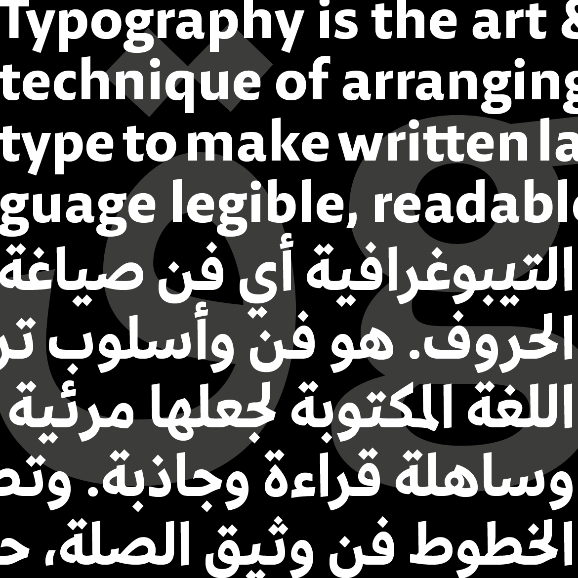 29LT-Zarid-Sans-Image-15