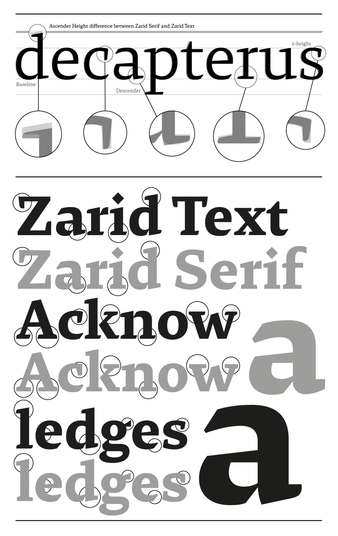 29LT-Zarid-Text-Image-18