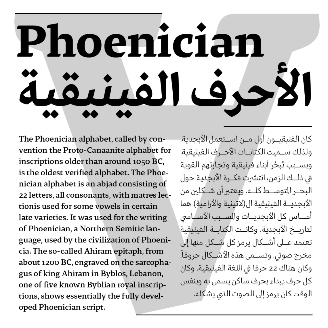 29LT-Zarid-Text-Image-24